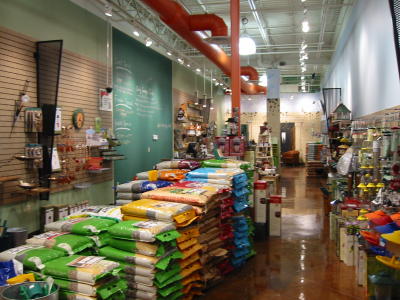 Store
