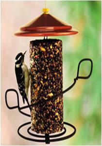 Seed Cylinder Feeder