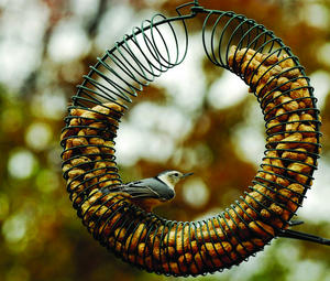 Peanut Wreath